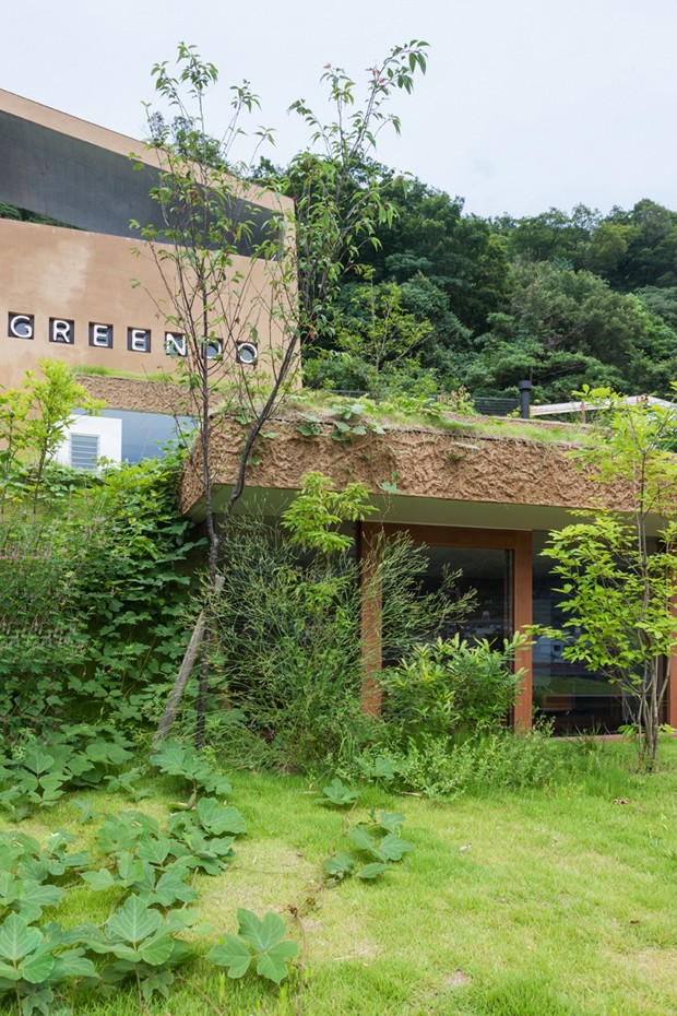 No Japão, prédio é construído dentro de uma montanha (Foto: Divulgação)