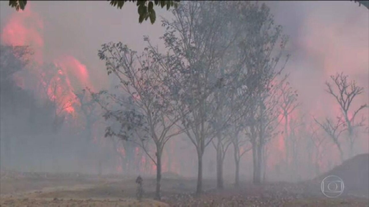 Incêndio de grandes proporções atinge o Parque Nacional das Emas - Vimarsana News