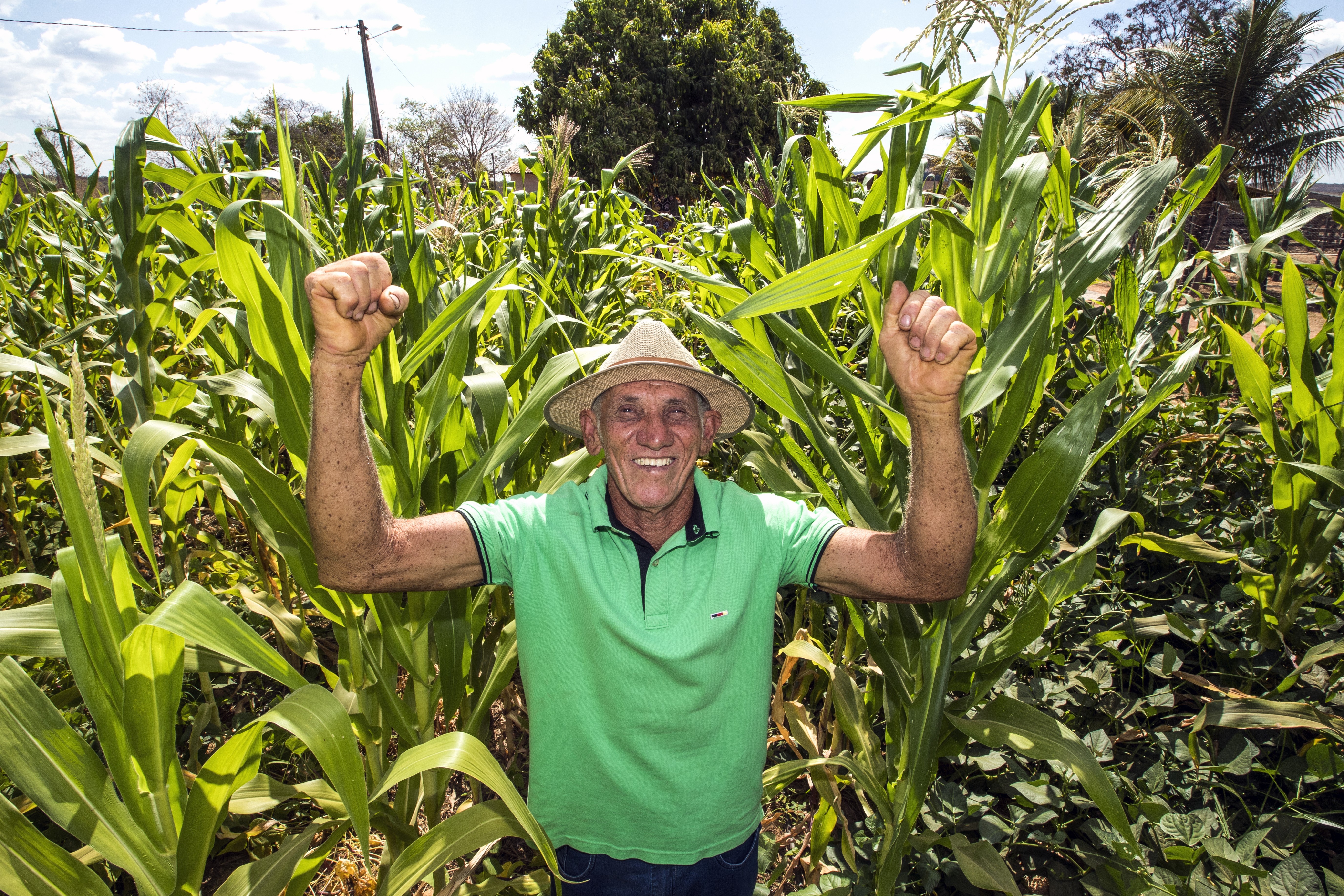 Cipriano Teixeira dos Santos, de 67 anos, comemora o aumento da produtividade após quase desistir de plantar nas terras que herdou de seu pai em Barreiras, no oeste da Bahia (Foto: Marcio Dantas/divulgação Mosaic Fertilizantes)