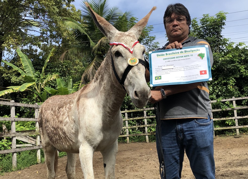 Jumento que ganhou diploma e medalha e foi incluÃ­do entre os â100 melhores prefeitos do Brasilâ, ao lado do dono Valderi JÃºnior (Foto: Giovani Grizotti/RBS TV)