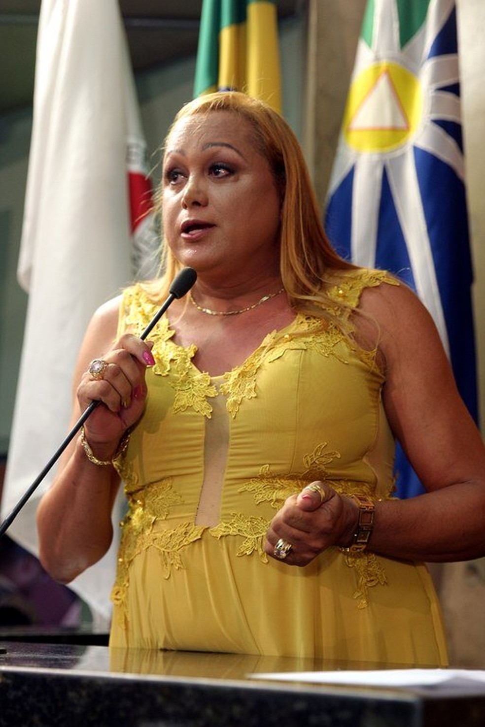 Ex-vereadora Pâmela Volp, foto de arquivo  — Foto: Aline Rezende/Câmara de Uberlândia/Divulgação