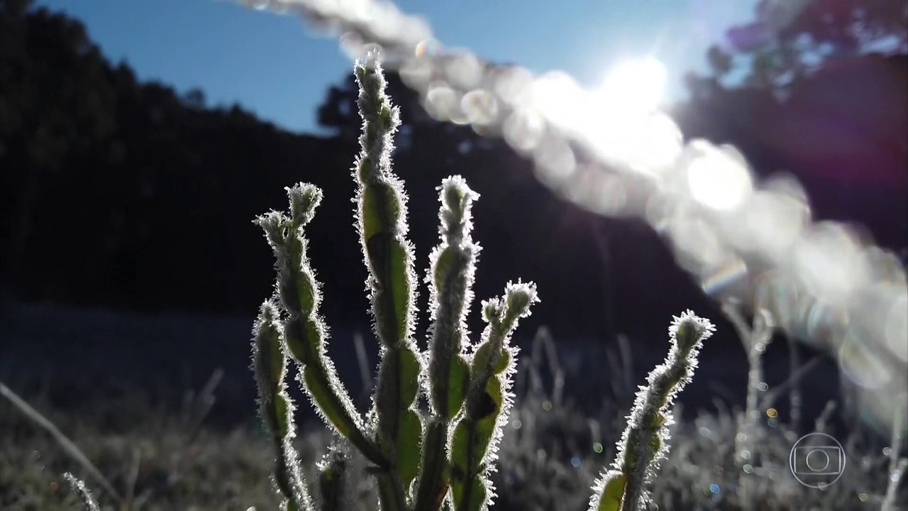 Neve não volta a cair no sul do Brasil, mas geada mantém paisagem congelada
