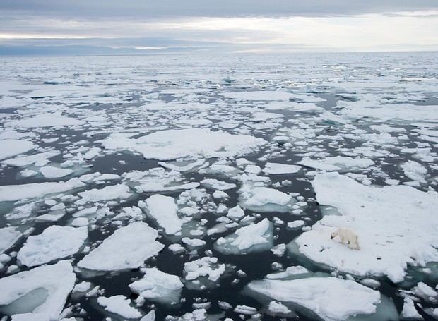 A camada de gelo do Ártico está há quatro anos em extinção (Foto: National Geographic/ Reprodução)