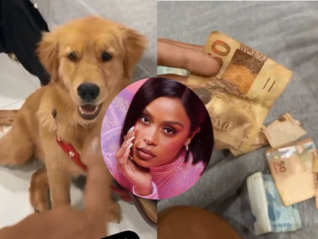 MC Rebecca mostra dinheiro destruído por sua cachorrinha (Foto: Reprodução/Instagram)