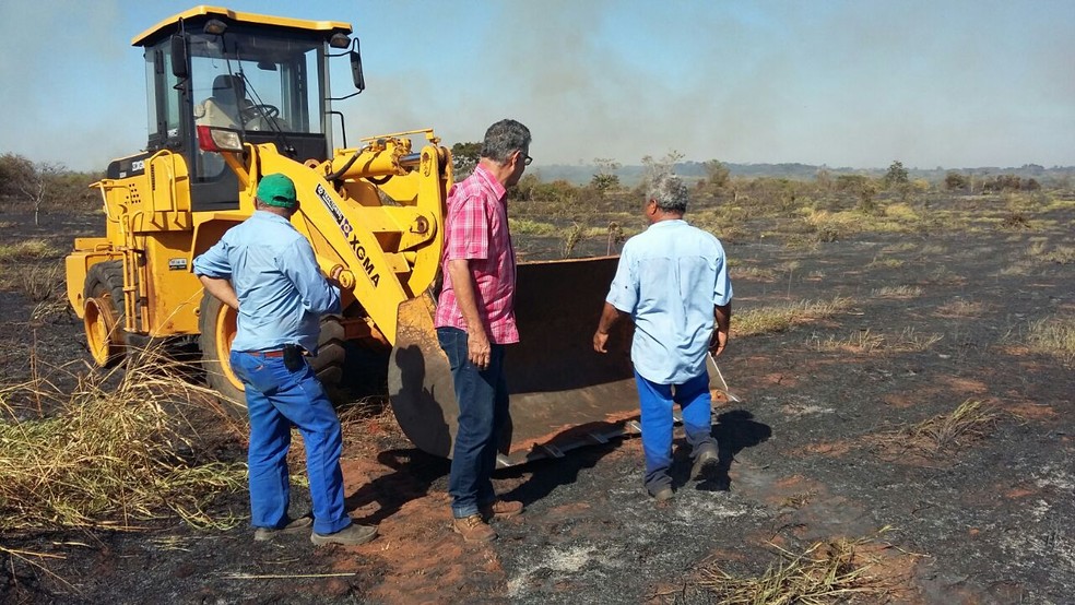 Incêndio atingiu reserva florestal em Presidente Epitácio (Foto: Djalma Weffort/Apoena)
