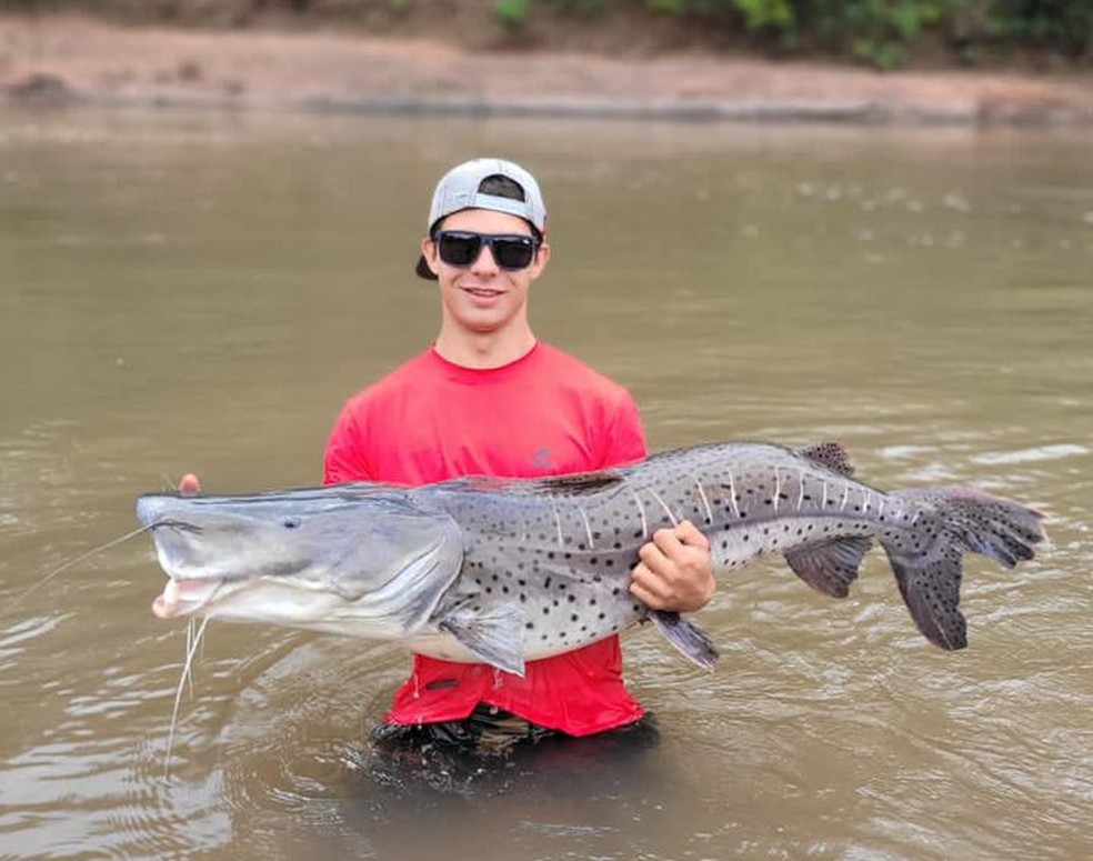 Jovem captura peixe gigante em rio de MS — Foto: Reprodução/ Arquivo Pessoal 